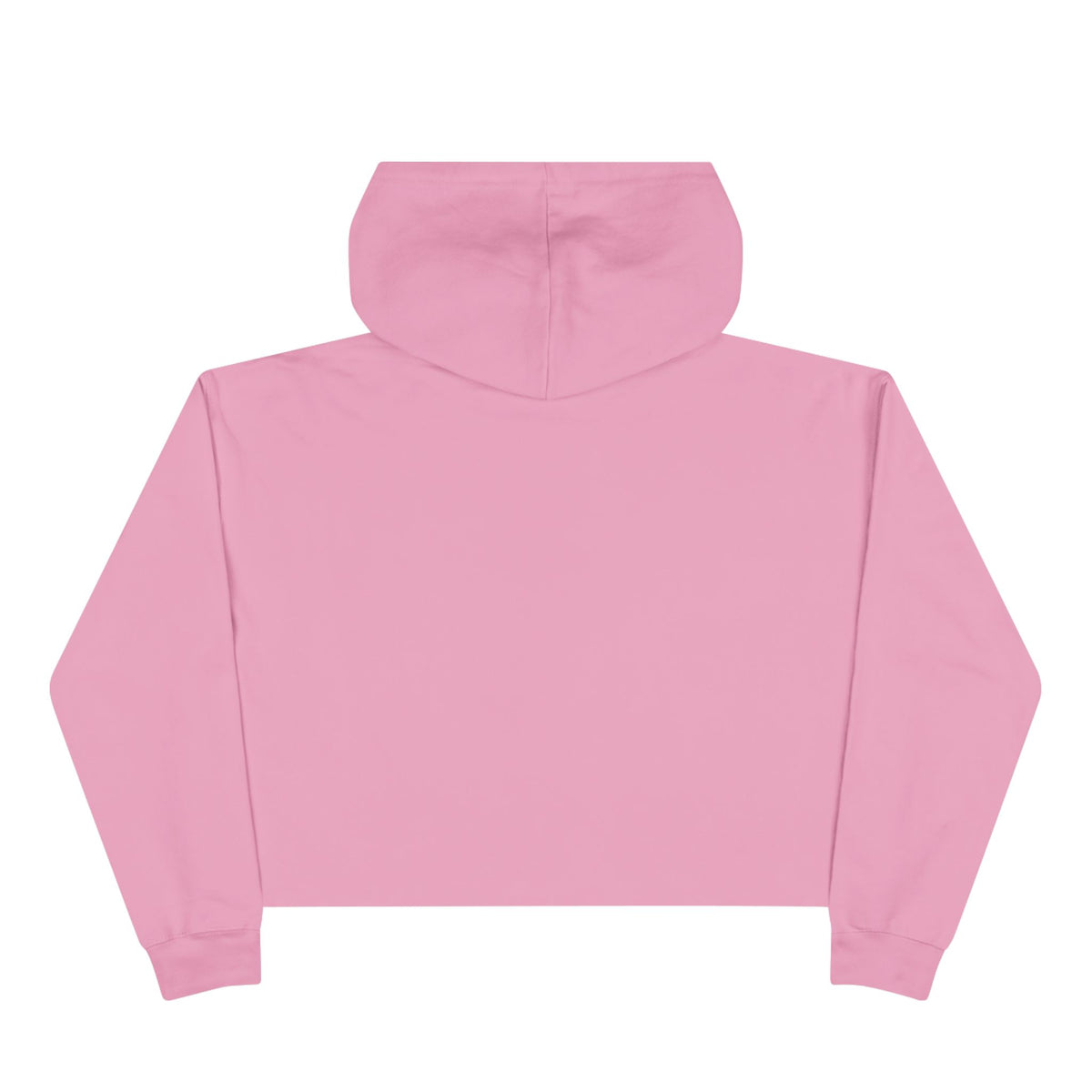 One of One Crop Hoodie 2.0