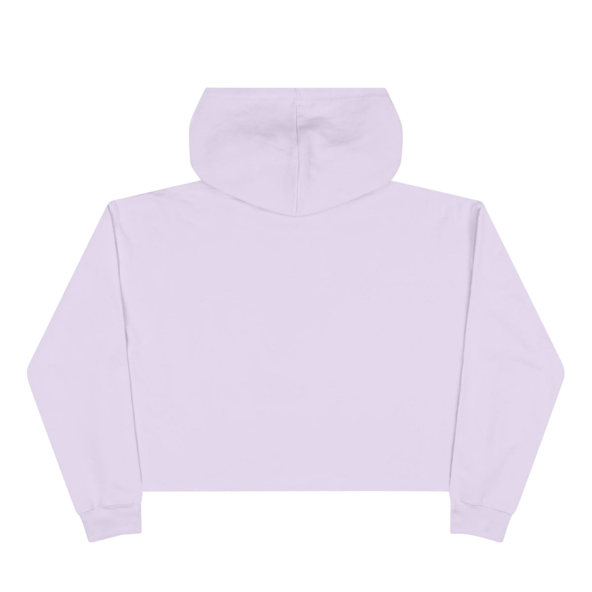 One of One Crop Hoodie 2.0