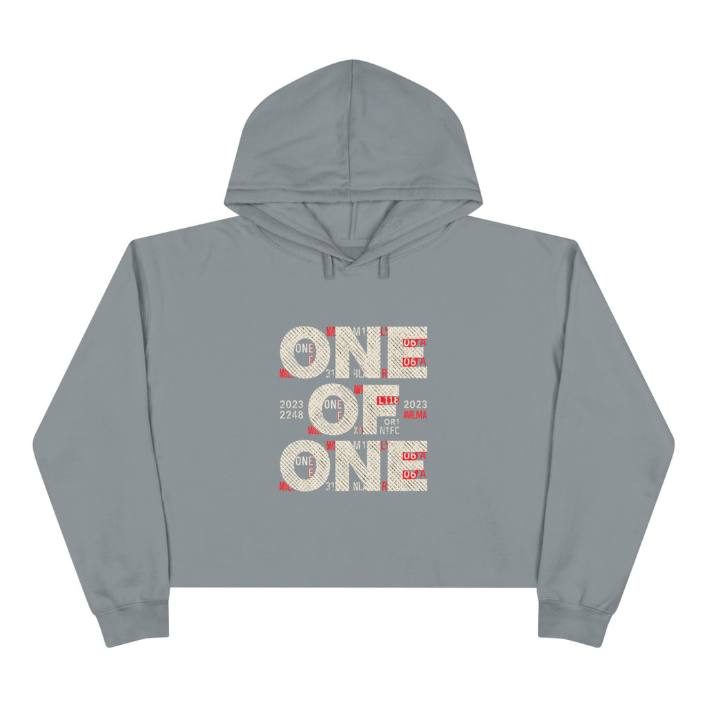 One of One Crop Hoodie